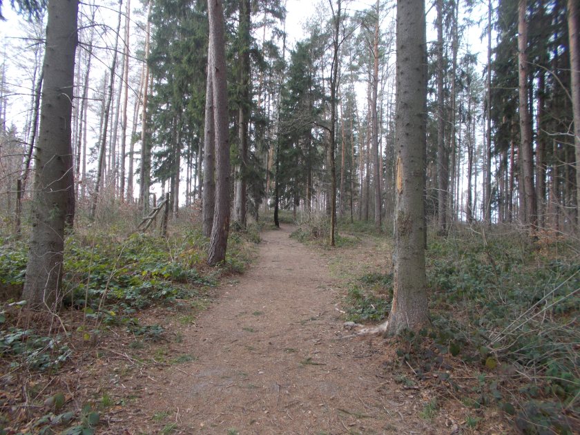 DSCN6896