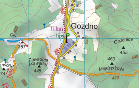 Gozdno