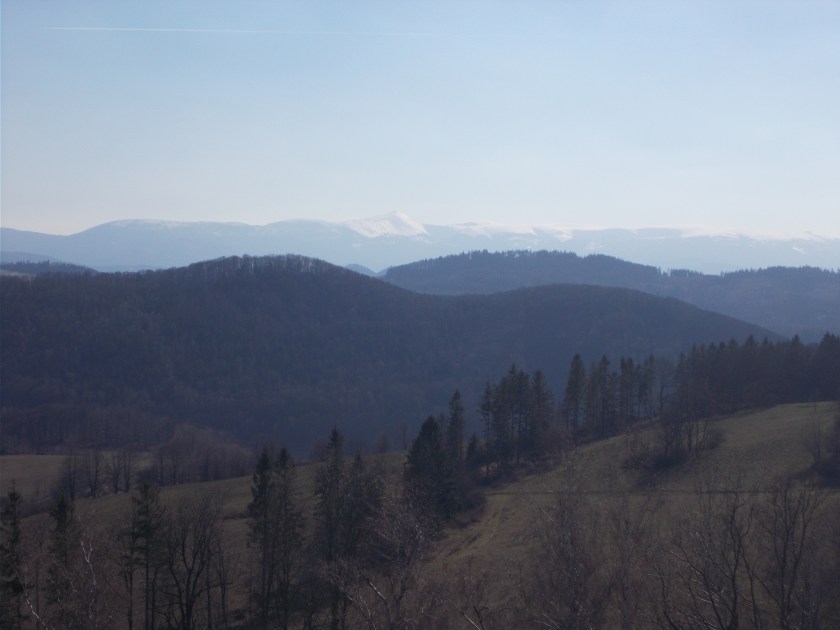 DSCN5885