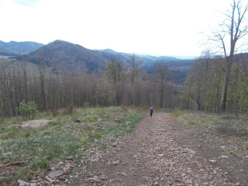 DSCN7086