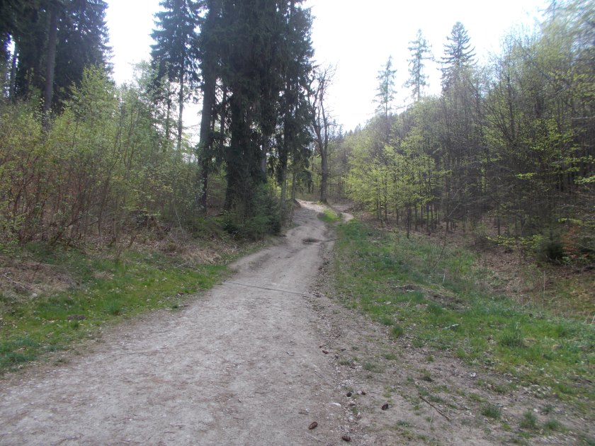 DSCN7089