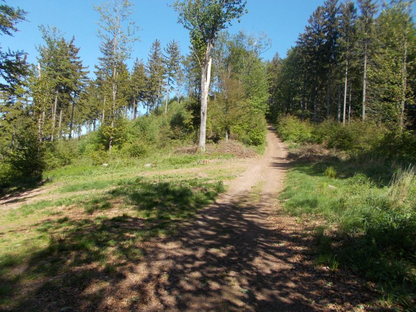 DSCN7150