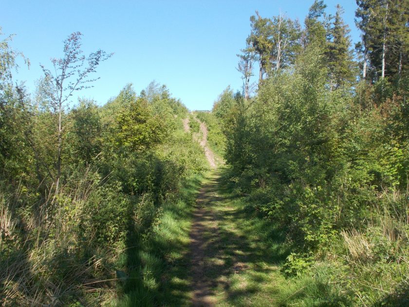 DSCN7151