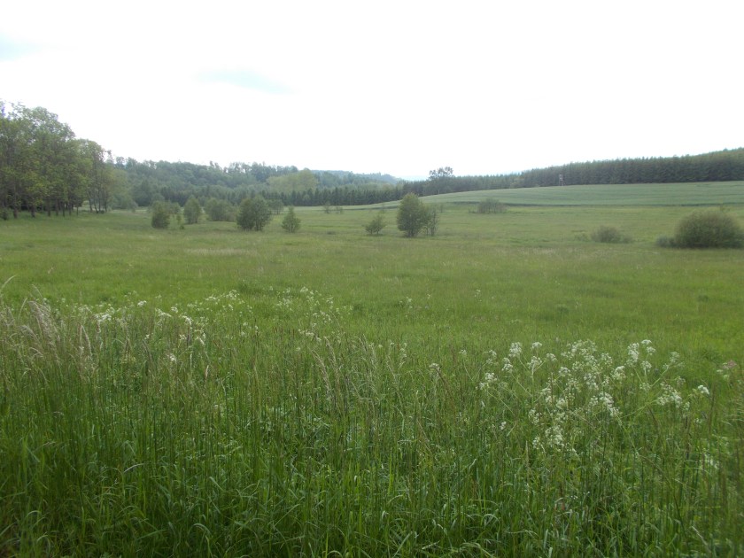 DSCN7187