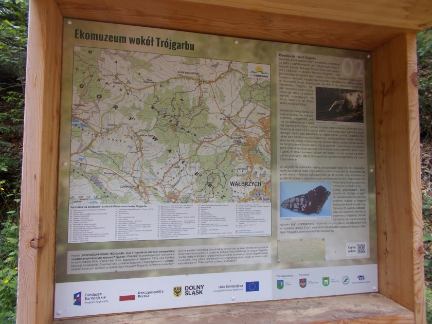 DSCN7193