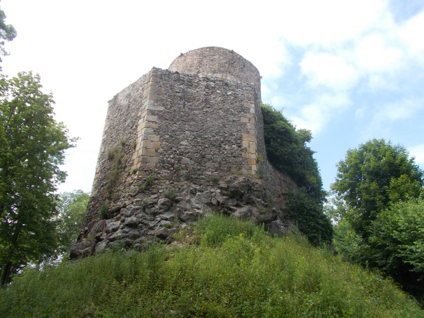 DSCN7212