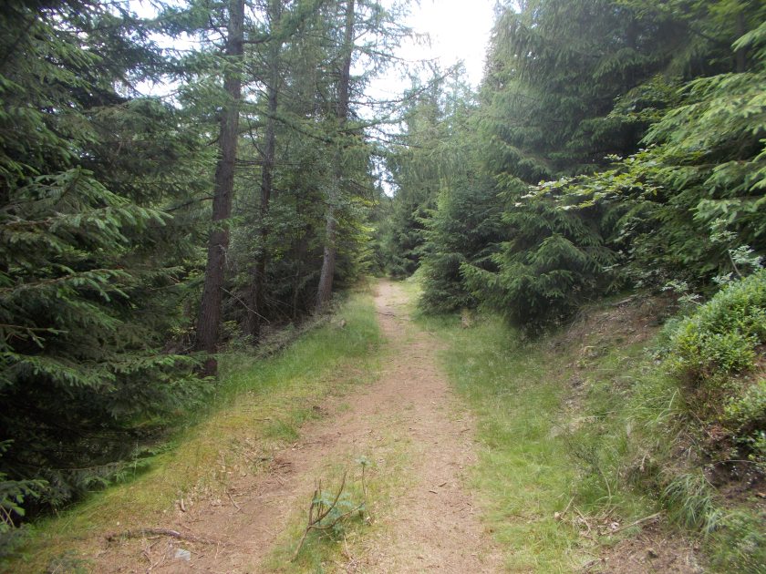 DSCN7295